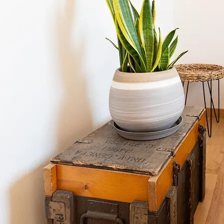 Wood & Metal : T2 Avec Vue Degagee Apartment Annecy
