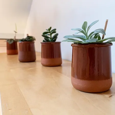 Apartment Wood & Metal : T2 Avec Vue Degagee