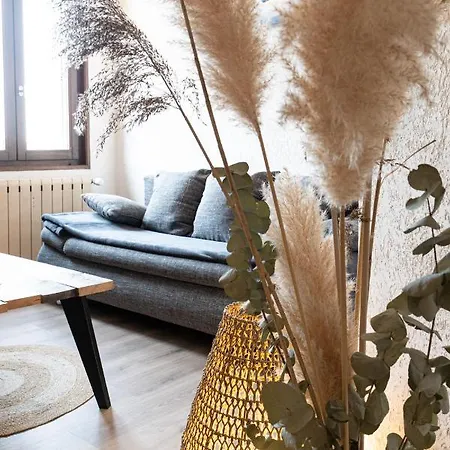 Wood & Metal : T2 Avec Vue Degagee